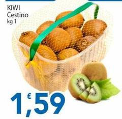 Kiwi