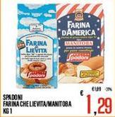 Molino Spadoni - Farina Che Lievita