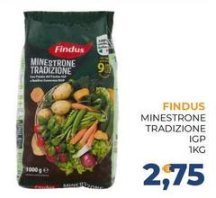 Findus - Minestrone Tradizione IGP