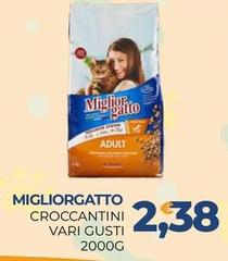 Miglior Gatto - Croccantini