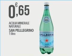 San Pellegrino - Acqua Minerale Naturale