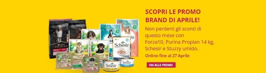 Volantino L'ora degli animali