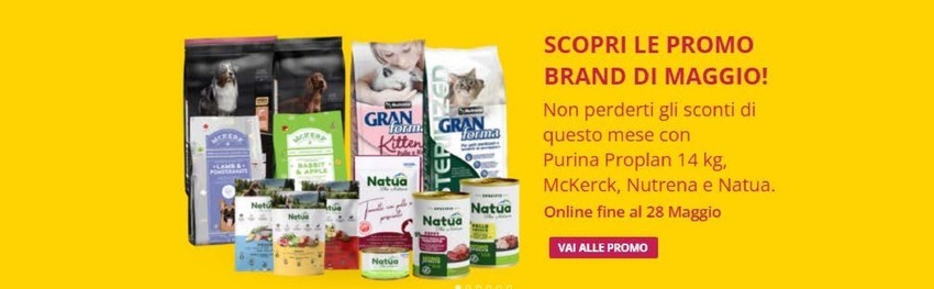 Volantino L'ora degli animali