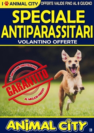 Volantino Animal City