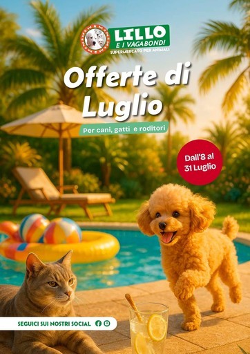 Volantino Lillo e i vagabondi