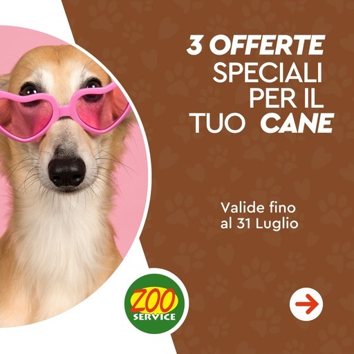 Volantino Zoo Service