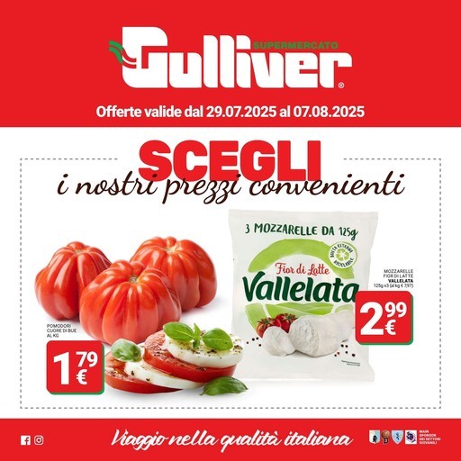 Volantino Gulliver