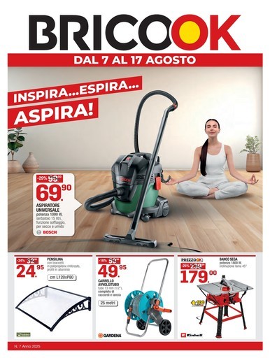 Volantino Brico OK