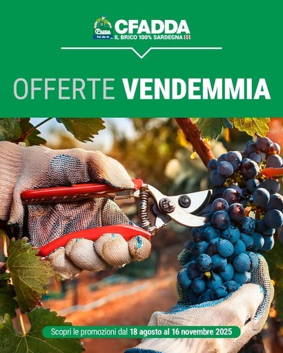 Volantino Cfadda