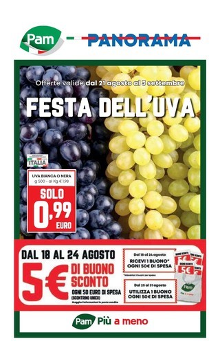 Volantino Pam