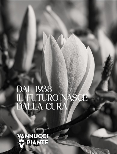 Volantino Vannucci piante