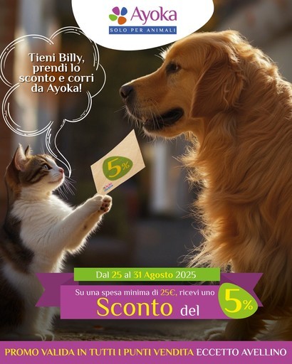 Volantino Ayoka