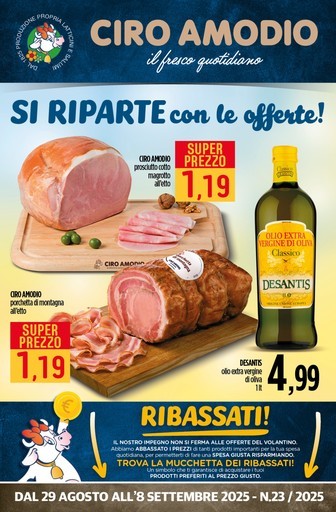 Volantino Ciro Amodio