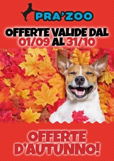 Volantino Prazoo