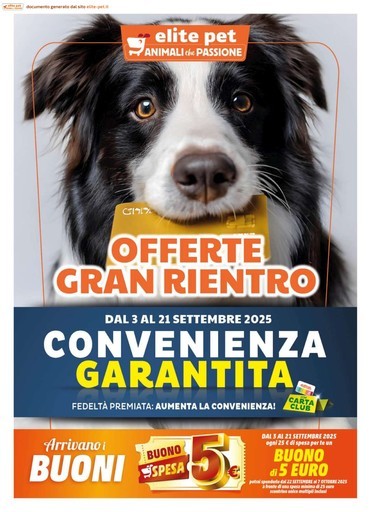 Volantino Elite Pet