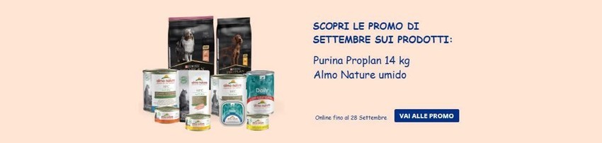 Volantino L'ora degli animali