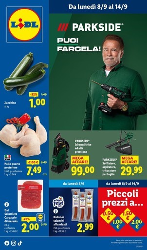 Volantino Lidl
