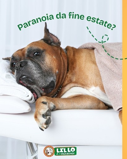 Volantino Lillo e i vagabondi