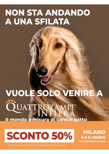 Volantino Quattrozampeinfiera