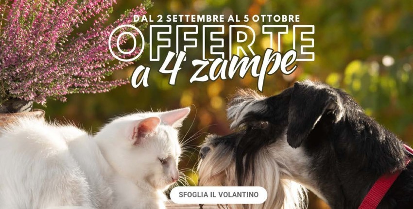 Volantino Giardineria