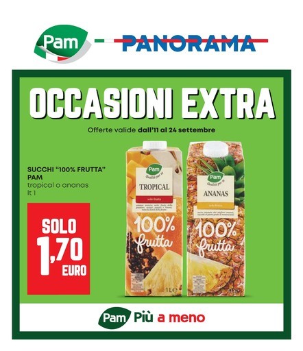 Volantino Panorama