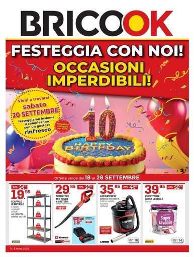 Volantino Brico OK