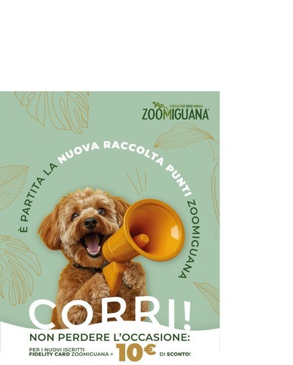 Volantino Zoomiguana