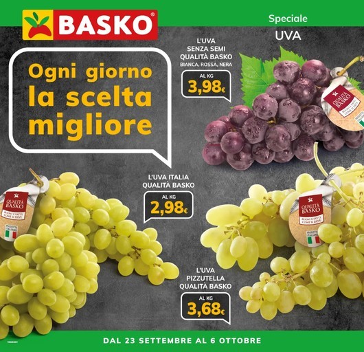 Volantino Basko