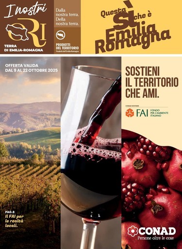 Volantino Conad Superstore
