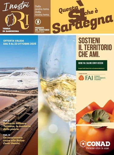 Volantino Spazio Conad