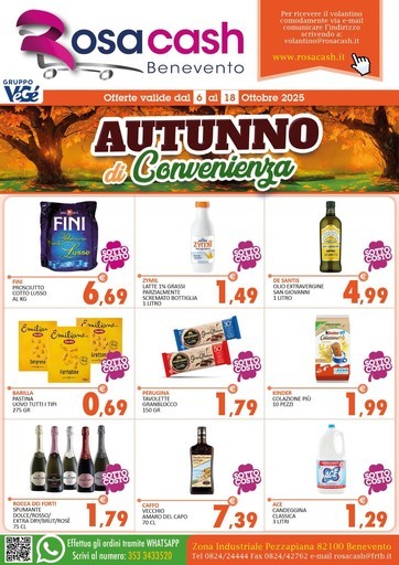 Rosa Cash - AUTUNNO DI CONVENIENZA