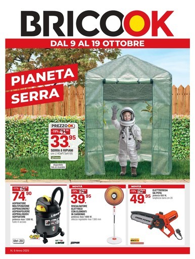 Volantino Brico OK
