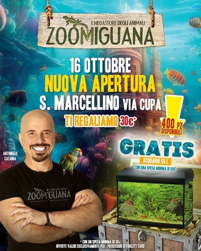 Volantino Zoomiguana