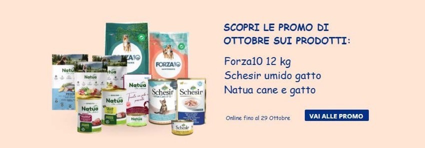 Volantino L'ora degli animali
