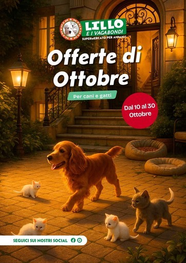 Volantino Lillo e i vagabondi