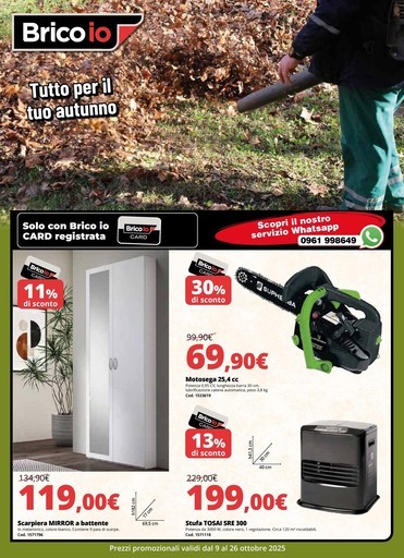 Volantino Brico io