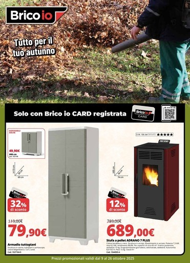 Volantino Brico io