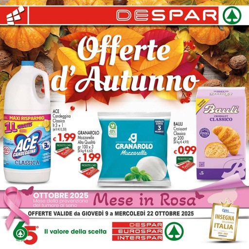 Volantino Despar
