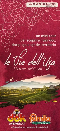 Volantino Dok