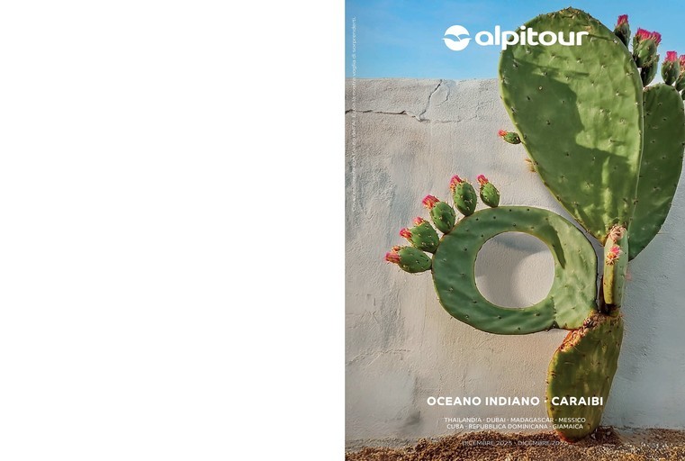 Volantino Alpitour