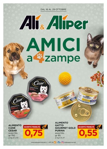 Volantino Alì Supermercati