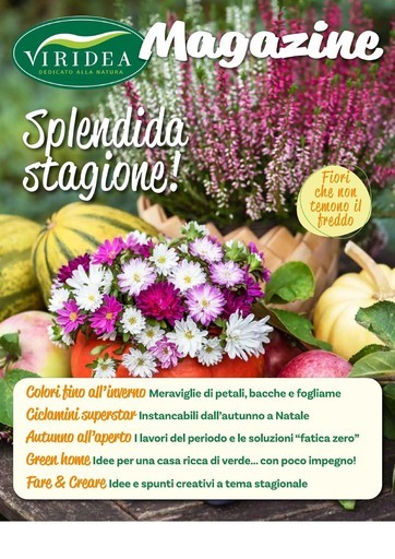 Volantino Viridea