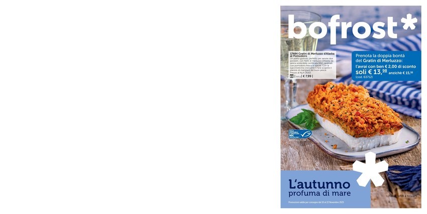 Volantino bofrost *
