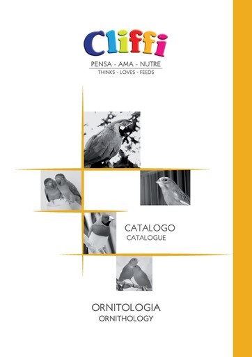 Volantino Cliffi