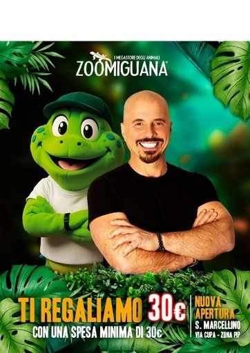 Volantino Zoomiguana