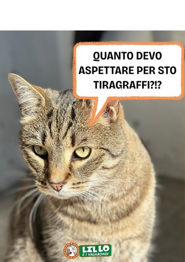 Volantino Lillo e i vagabondi