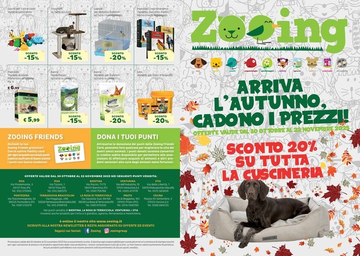 Volantino Zooing