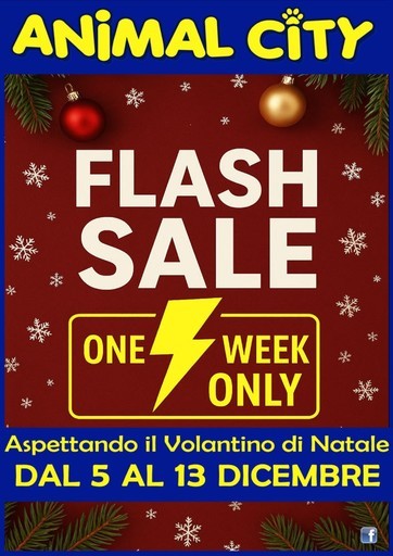 Volantino Animal City