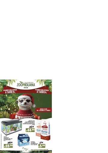 Volantino Zoomiguana