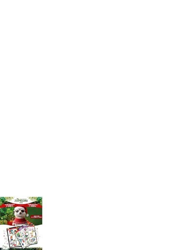 Volantino Zoomiguana